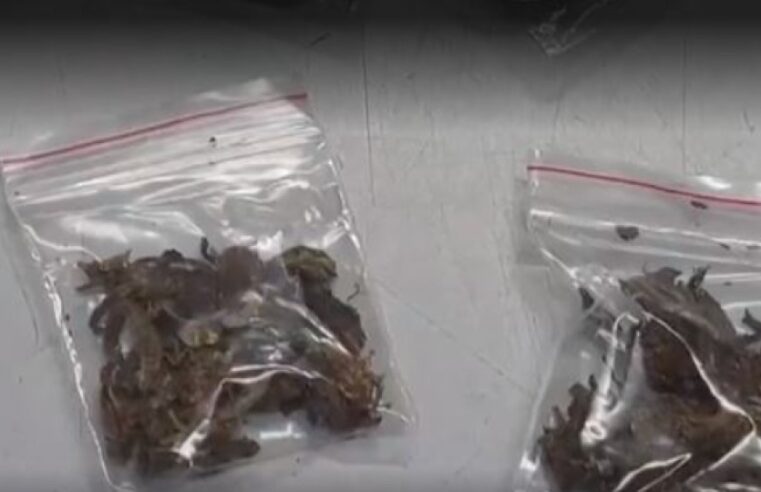 No Amazonas, vigia é flagrado vendendo material entorpecente para alunos de escola pública