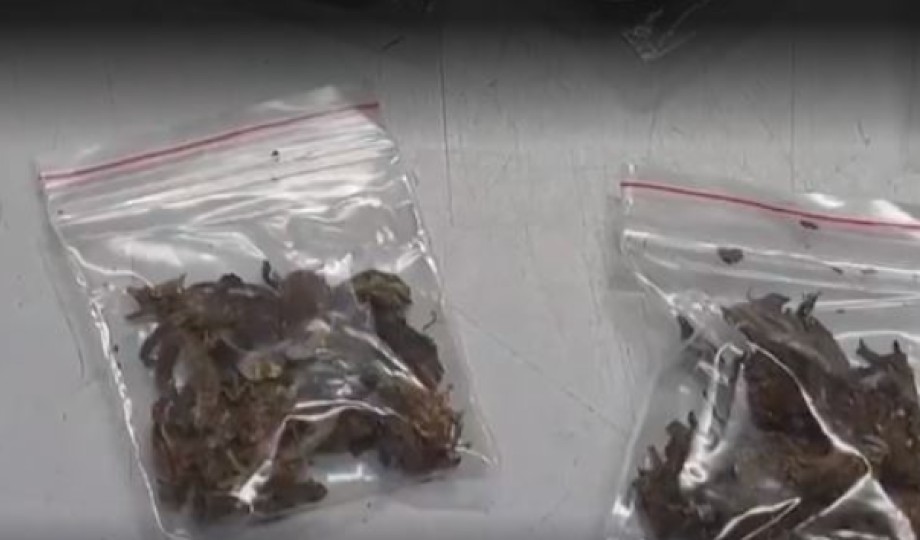 No Amazonas, vigia é flagrado vendendo material entorpecente para alunos de escola pública