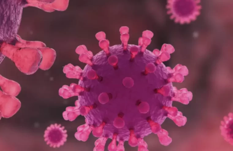 Pesquisa na Holanda pode ter descoberto a cura para o HIV