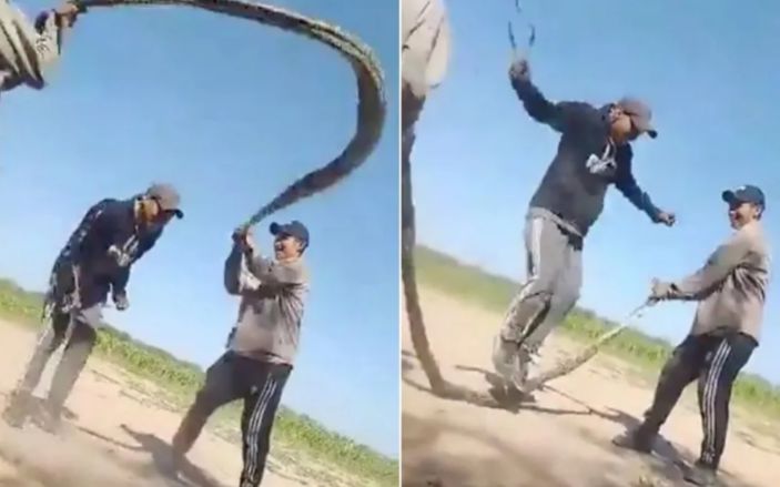 Homens usam uma cobra para ‘brincar de pular corda’