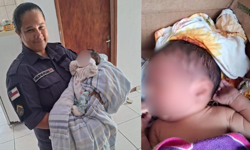 Em caixa de papelão: recém-nascido é deixado na porta de casa de idosa no Cidade de Deus; veja vídeo