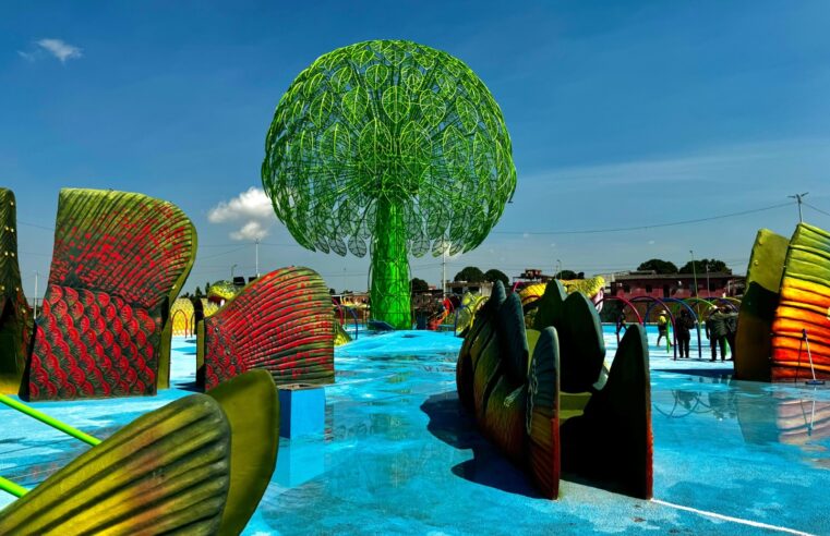 Gigantes da Floresta recebe novas estruturas e ganha áreas de entrada e saída separadas no acesso à praça molhada