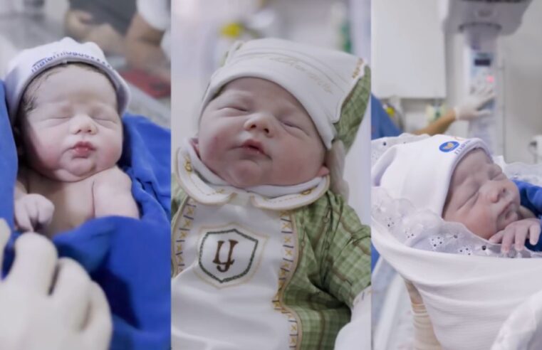 Filho de Virgínia Fonseca e Zé Felipe ultrapassa 1 milhão de seguidores no Instagram 