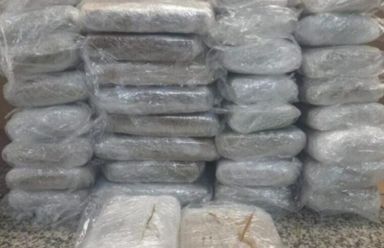 Polícia prende dupla com drogas avaliadas em R$ 740 mil no Mauazinho em Manaus