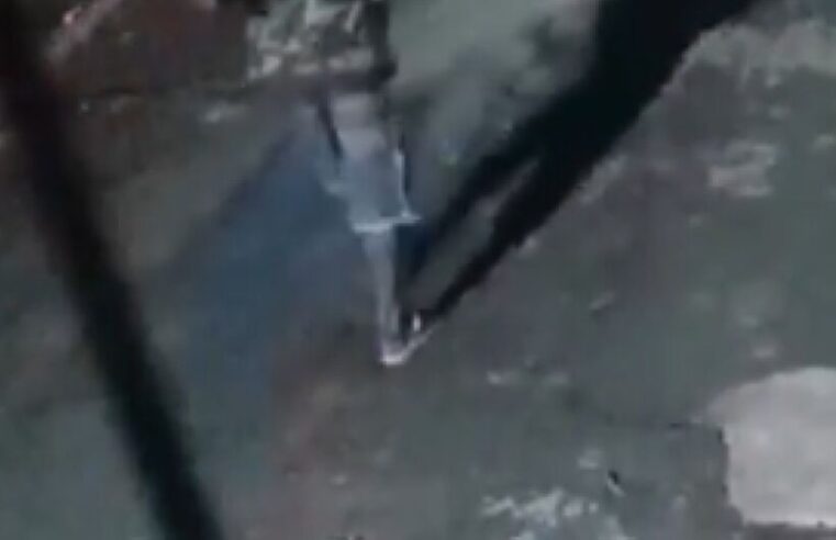 [Vídeo]: Homem é flagrado 3squ4rt3jand0 cachorro na Zona Norte de Manaus