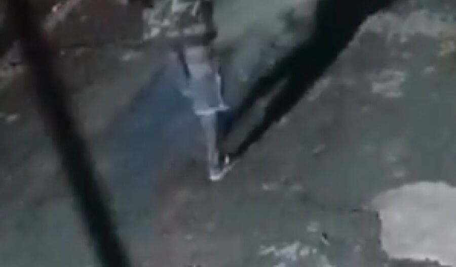 [Vídeo]: Homem é flagrado 3squ4rt3jand0 cachorro na Zona Norte de Manaus