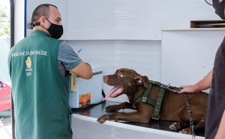 Agendamento para castração de cães e gatos inicia na próxima sexta-feira (29) em Manaus