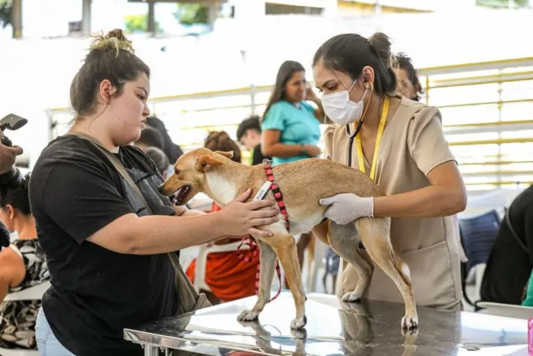 Castramóvel SEMA-AM: como castrar seu pet gratuitamente em Manaus e interior do Amazonas