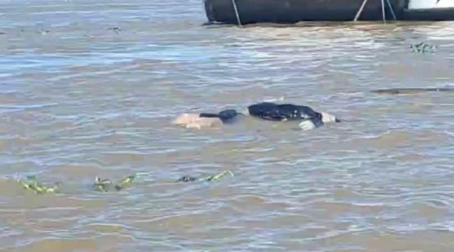 Rio da morte: ao menos 3 corpos foram encontrados boiando no Solimões, afluente do Amazonas