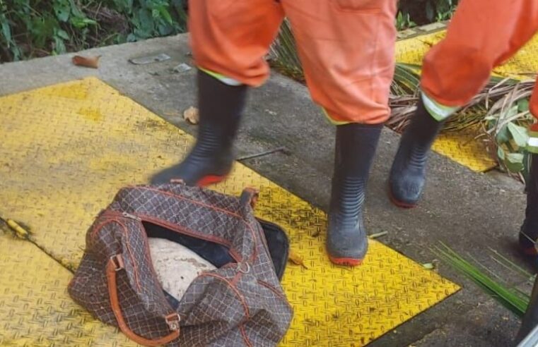 Trabalhadores encontram mala com restos mortais durante limpeza de igarapé em Manaus