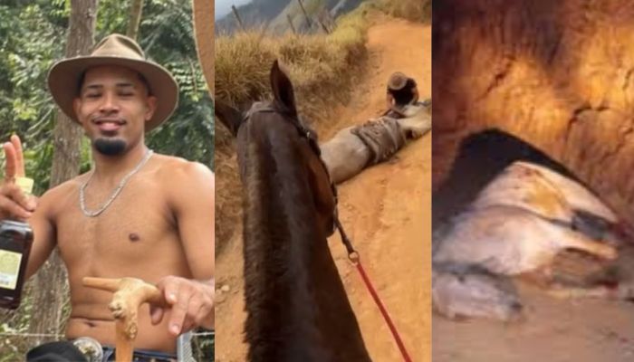 Homem que decepou as 4 patas de cavalo com facão é condenado a 11 meses de prisão